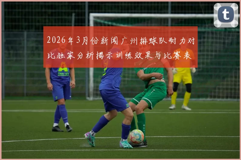 2026年3月份新闻广州排球队耐力对比独家分析揭示训练效果与比赛表现的关系